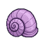 Shell currency
